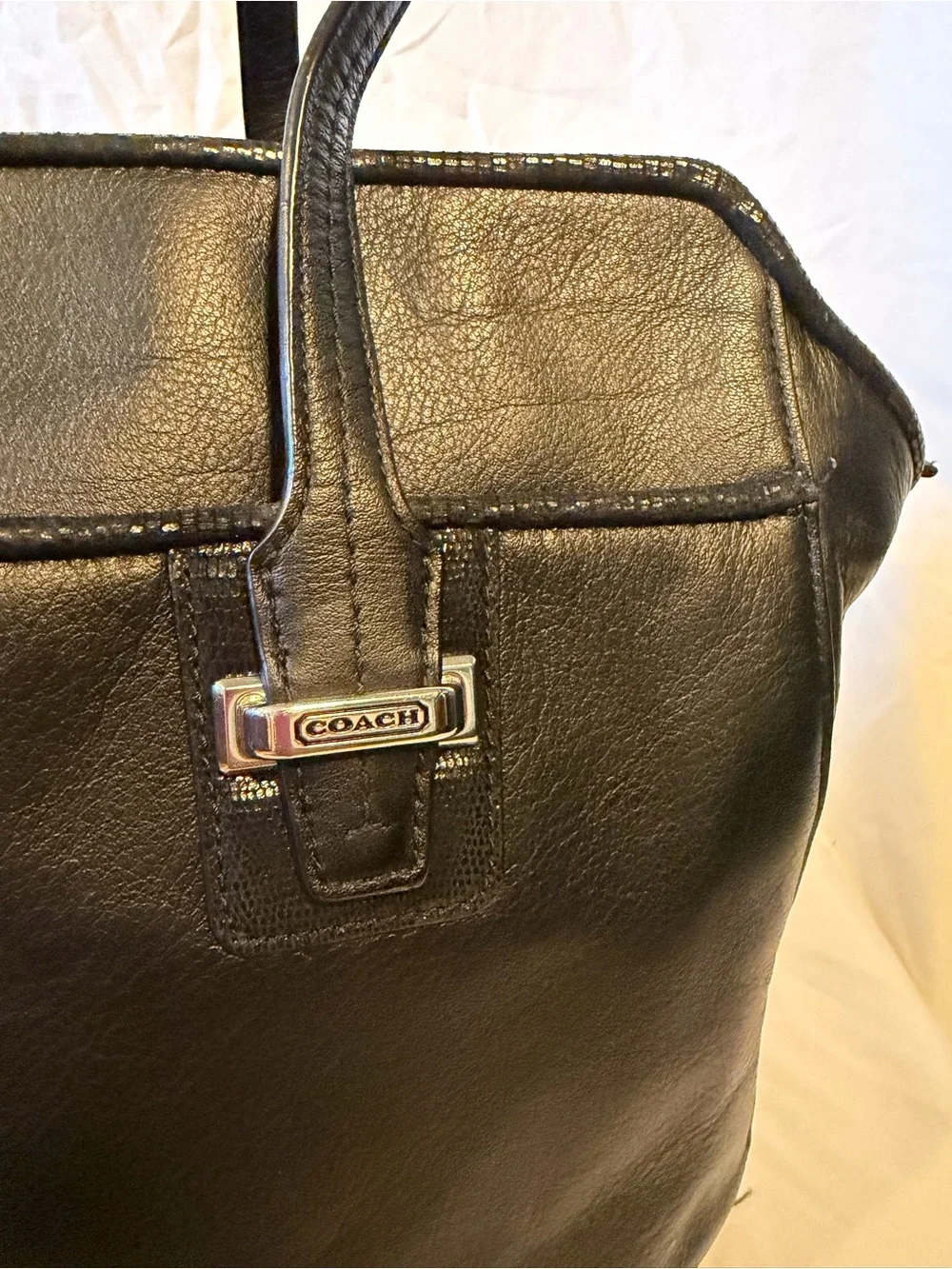 Coach Taylor Leather Alexis Carryall